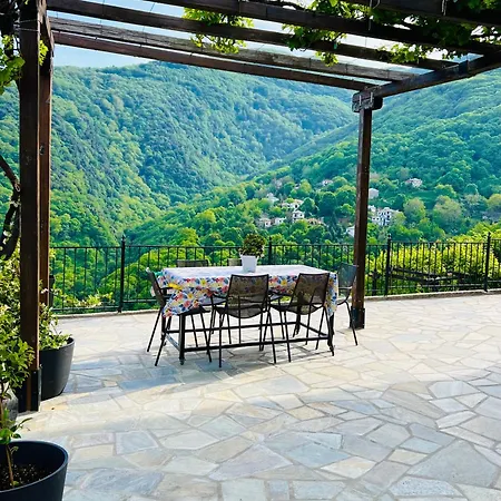 Alexias טסגרדה