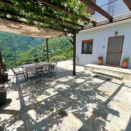 Alexias טסגרדה