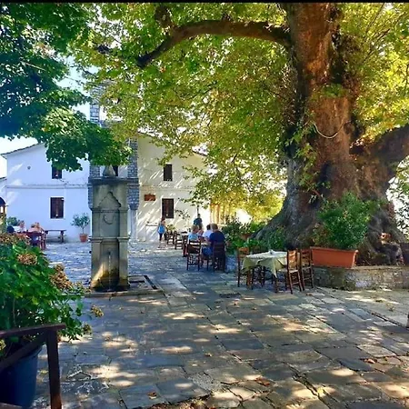 Alexias * Tsagkarada