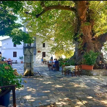 Alexias * Tsagkarada
