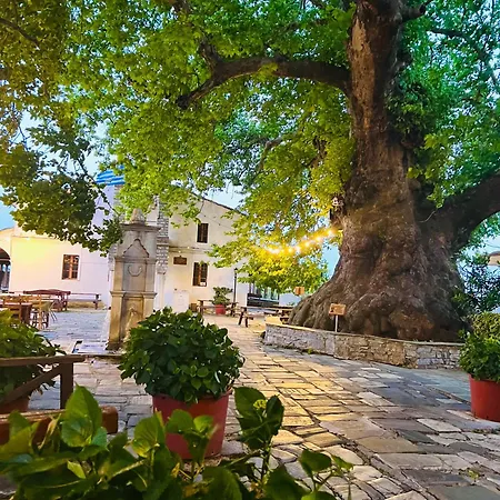 Alexias Tsagkarada