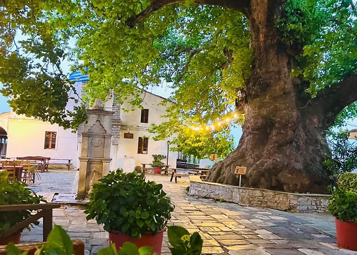 Alexias טסגרדה